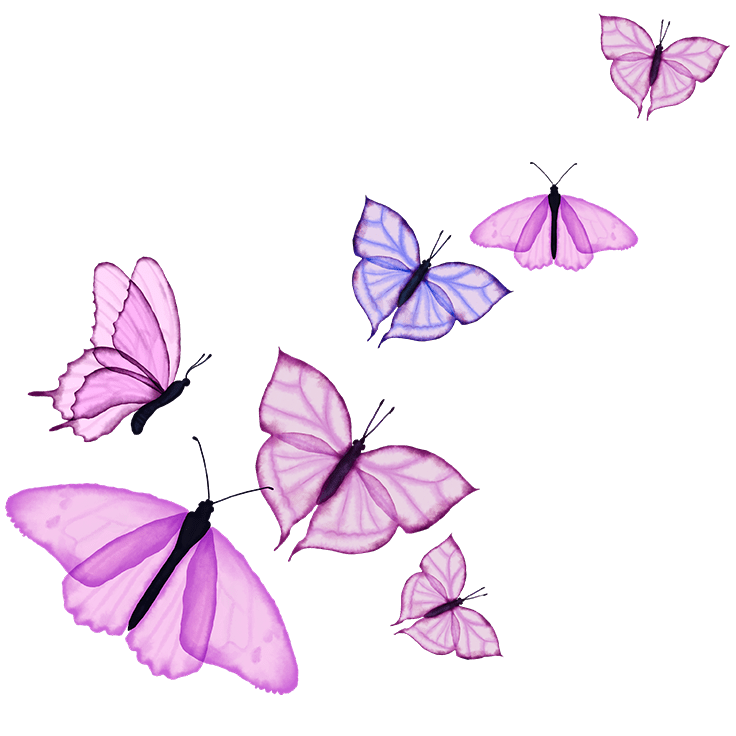 Mariposas WEB leyendas 2