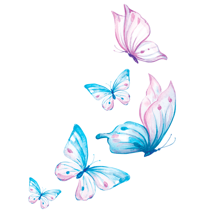 Mariposas WEB leyendas